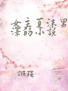 女主夏沫男主陆泽的小说