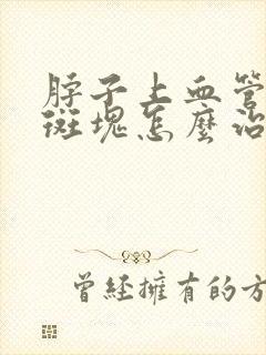 脖子上血管里有斑块怎么治