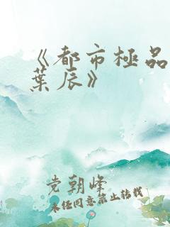 《都市极品医神叶辰》