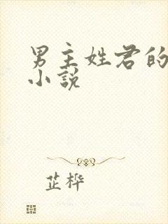 男主姓君的现代小说