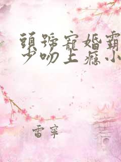 头号宠婚霸道权少吻上瘾小说