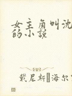 女主角叫沈傲雪的小说