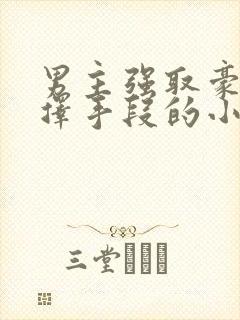 男主强取豪夺不择手段的小说