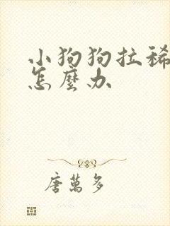 小狗狗拉稀带血怎么办