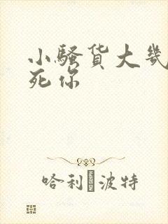 小骚货大几把操死你