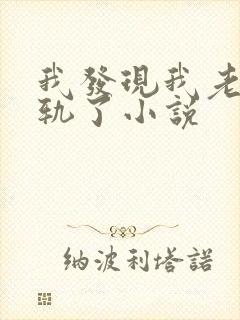 我发现我老婆出轨了小说