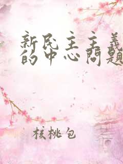 新民主主义革命的中心问题是:(