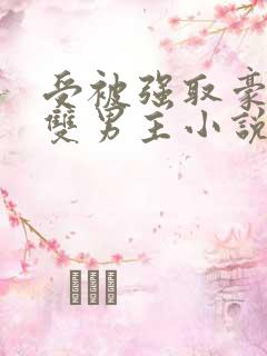 受被强取豪夺的双男主小说