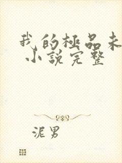 我的极品未婚妻 小说完整