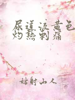 尿道流黄色小便灼热刺痛