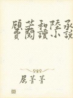 顾芒和陆承洲免费阅读小说下拉式