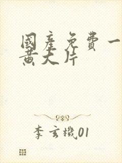 国产免费一级特黄大片