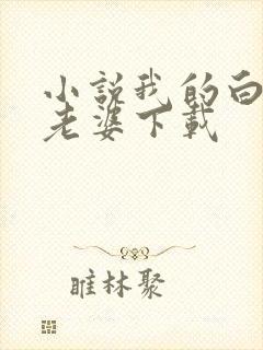 小说我的白富美老婆下载