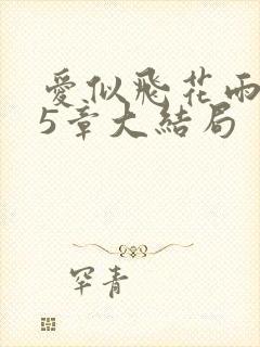 爱似飞花雨第45章大结局