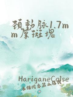 颈动脉1.7mm厚斑块