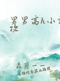 男男高h小说总攻