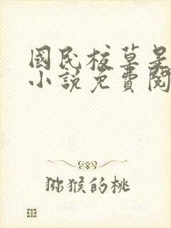 国民校草是女生小说免费阅读