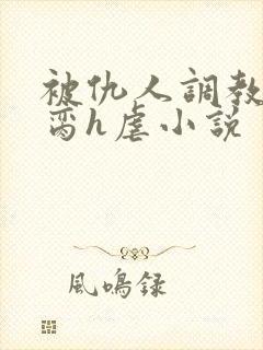 被仇人调教成禁脔h虐小说