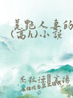 美艳人妻的出轨(高h)小说