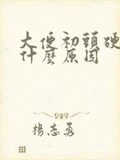 大便初头硬后软什么原因