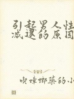 引起男人性功能减退的原因