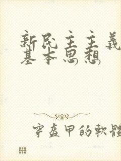 新民主主义革命基本思想