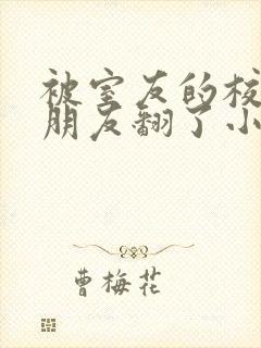 被室友的校草男朋友翻了小说