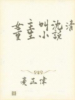 女主叫沈清辞的重生小说