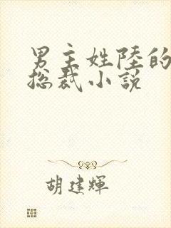 男主姓陆的豪门总裁小说