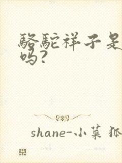 骆驼祥子是小说吗?