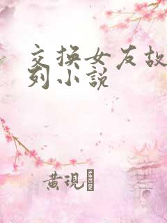 交换女友故事系列小说