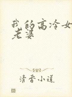 我的高冷女总裁老婆