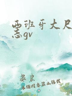 西班牙大尺度同志gv