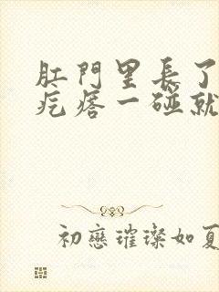 肛门里长了一个疙瘩一碰就疼