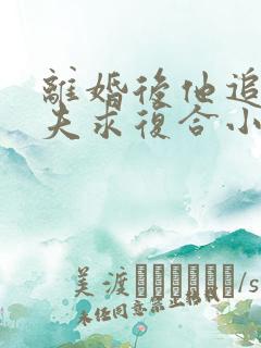 离婚后他追着前夫求复合小说