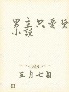 男主只爱黛玉的小说