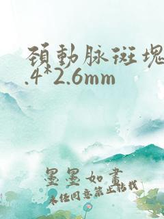 颈动脉斑块13.4*2.6mm