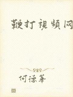 鞭打视频网站
