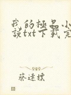 我的极品小姨小说txt下载完整版