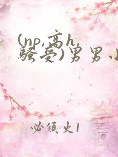 (np,高h,骚受)男男小说