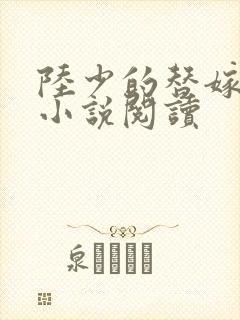 陆少的替嫁罪妻小说阅读