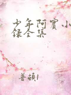 少年阿宾小说目录全集