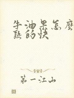 牛油果怎么储存熟的快