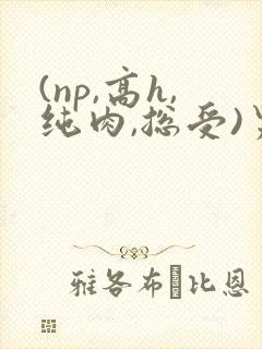 (np,高h,纯肉,总受)男男