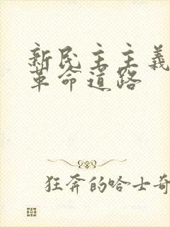 新民主主义革命革命道路