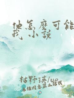 他怎么可能喜欢我 小说