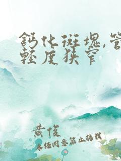 钙化斑块,管腔轻度狭窄