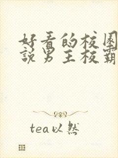 好看的校园文小说男主校霸