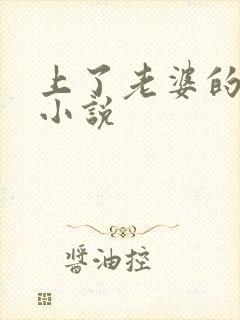 上了老婆的闺蜜小说