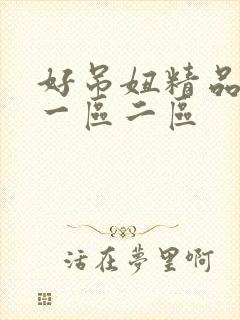 好吊妞精品视频一区二区